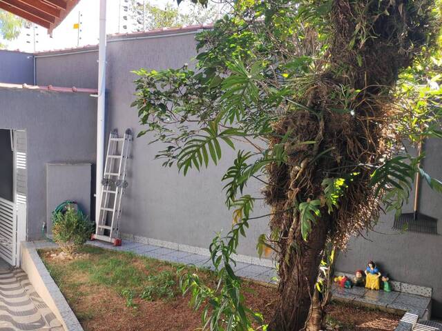 Casa para Venda em São Bernardo do Campo - 4