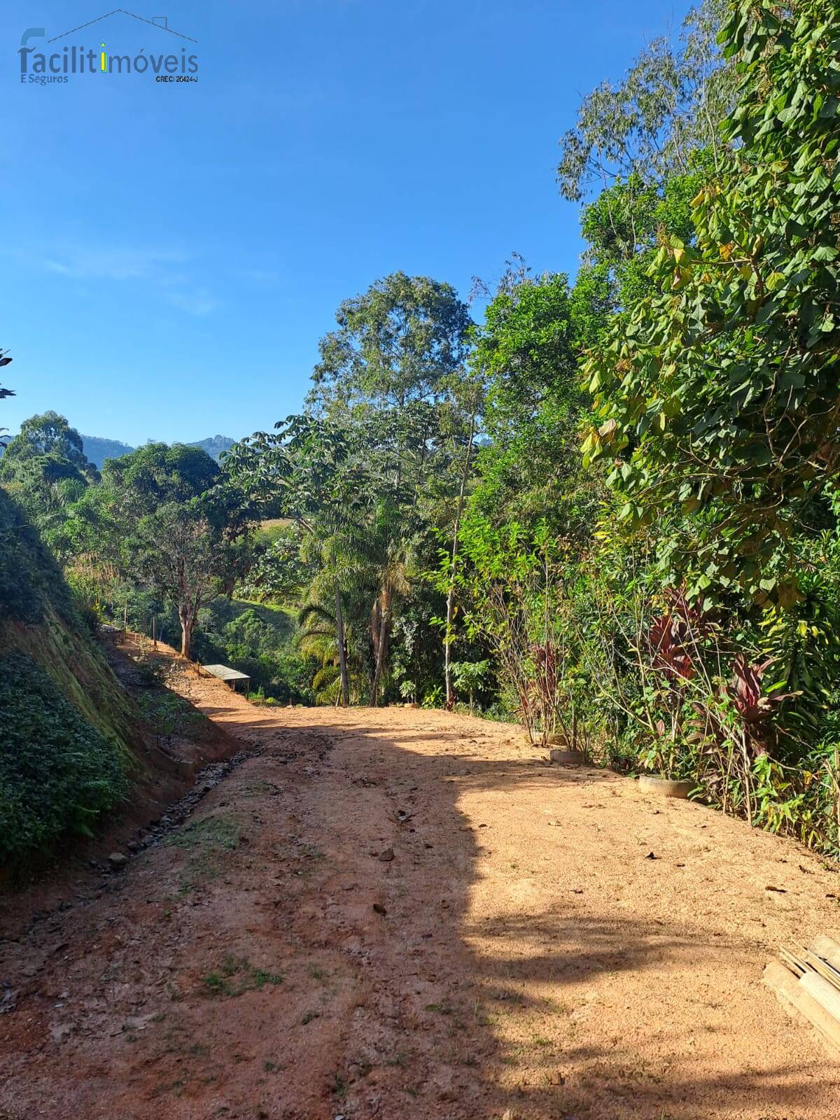 Fazenda à venda com 2 quartos - Foto 18