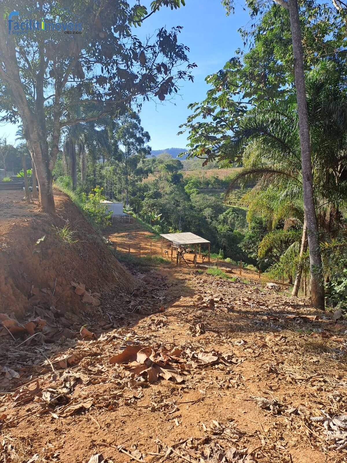 Fazenda à venda com 2 quartos - Foto 19